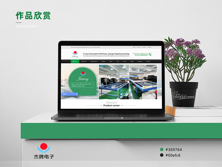 東莞網(wǎng)站建設案例