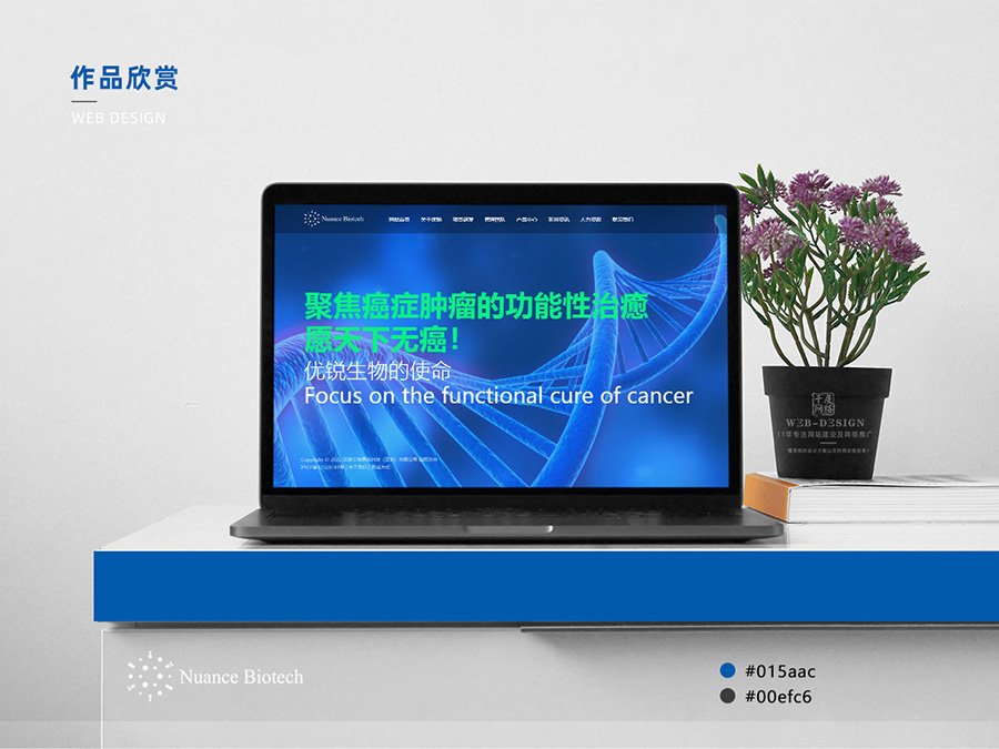 東莞網(wǎng)站建設案例