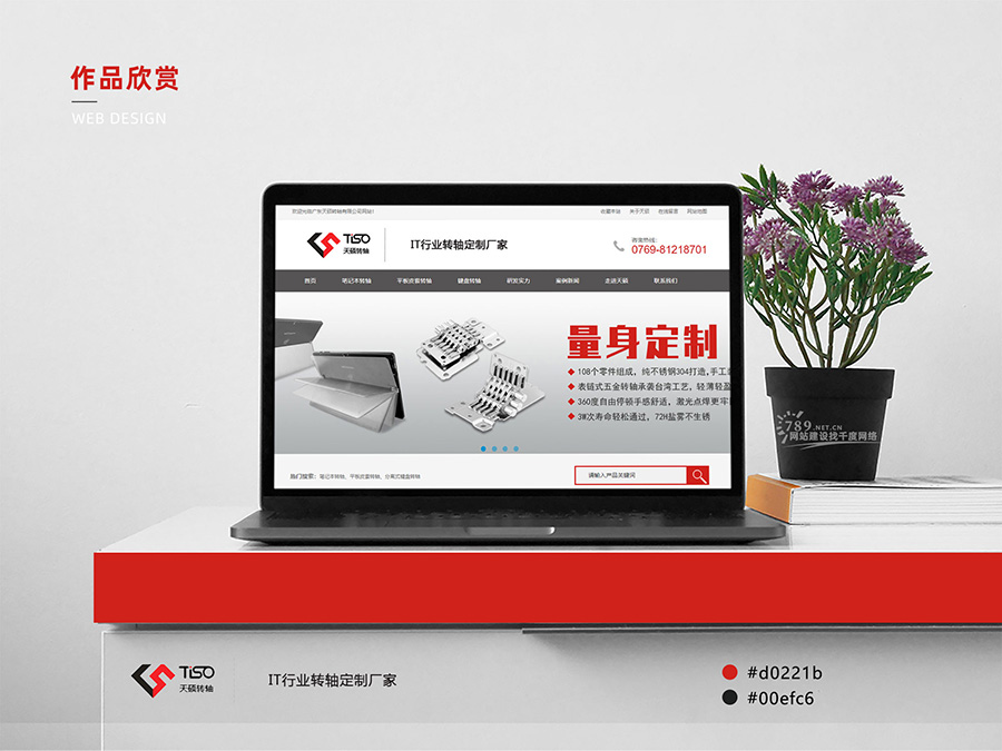 東莞網(wǎng)站建設案例